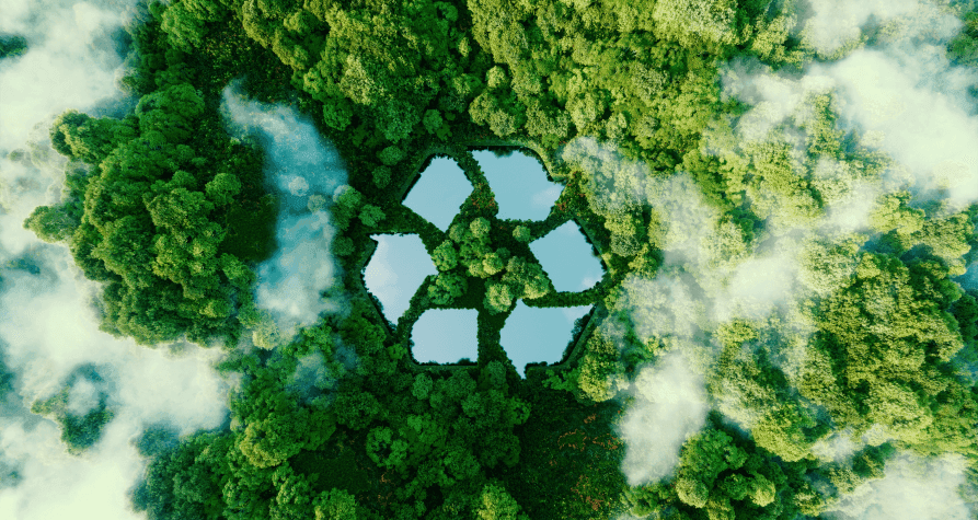  People, the environment, business